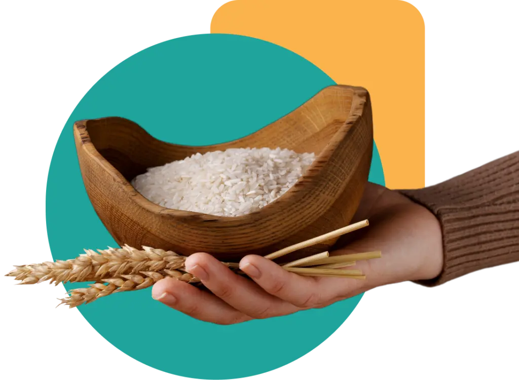 Ilustrasi Hanamifoods